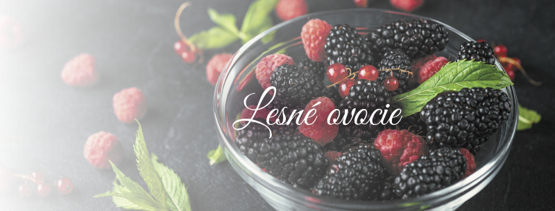 banner SK na web 2